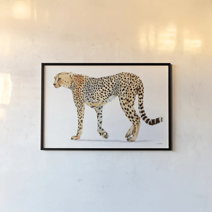 Wild and Free VII Bold by James Wiens. shown as a paper print in a black flame. Available as a archival giclee rolled canvas, fine art paper, or poster print. SKU 69078i.