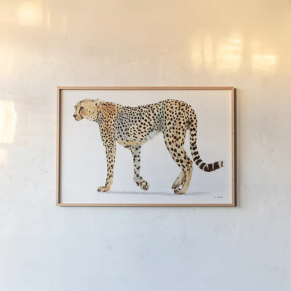 Wild and Free VII Bold by James Wiens. shown as a paper print in a natural frame. Available as a archival giclee rolled canvas, fine art paper, or poster print. SKU 69078i.