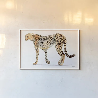 Wild and Free VII Bold by James Wiens. shown as a paper print in a white frame. Available as a archival giclee rolled canvas, fine art paper, or poster print. SKU 69078i.
