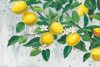 Zesty Lemons by James Wiens. SKU 70064i. Archival Giclee Fine art print for wall decor.
