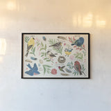 Bird Study I by Janelle Penner. shown as a paper print in a black flame. Available as a archival giclee rolled canvas, fine art paper, or poster print. SKU 58594i.