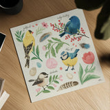 Bird Study II by Janelle Penner. Shown as a detailed flat fine art print, highlighting archival giclee quality. Available as an archival giclee rolled canvas, fine art paper, or poster print. SKU 58595a.