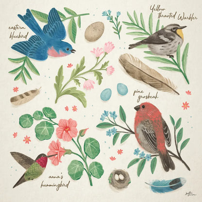 Bird Study III by Janelle Penner. SKU 58596a. Archival Giclee Fine art print for wall decor.