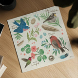 Bird Study III by Janelle Penner. Shown as a detailed flat fine art print, highlighting archival giclee quality. Available as an archival giclee rolled canvas, fine art paper, or poster print. SKU 58596a.