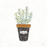 Fine Herbs IX by Janelle Penner. SKU 35001a. Archival Giclee Fine art print for wall decor.