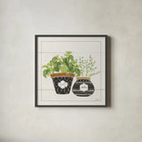 Fine Herbs V Smiles by Janelle Penner. Shown in a sleek black glass frame for a contemporary gallery look. Available as an archival giclee rolled canvas, fine art paper, or poster print. SKU 46183a.