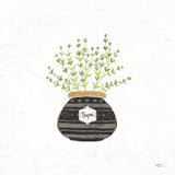 Fine Herbs VI by Janelle Penner. SKU 34998a. Archival Giclee Fine art print for wall decor.