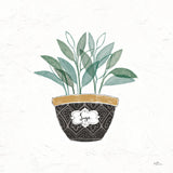 Fine Herbs VII by Janelle Penner. SKU 34999a. Archival Giclee Fine art print for wall decor.