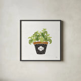 Fine Herbs VIII by Janelle Penner. Shown in a sleek black glass frame for a contemporary gallery look. Available as an archival giclee rolled canvas, fine art paper, or poster print. SKU 35000a.