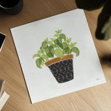 Fine Herbs VIII No Label by Janelle Penner. Shown as a detailed flat fine art print, highlighting archival giclee quality. Available as an archival giclee rolled canvas, fine art paper, or poster print. SKU 69977a.