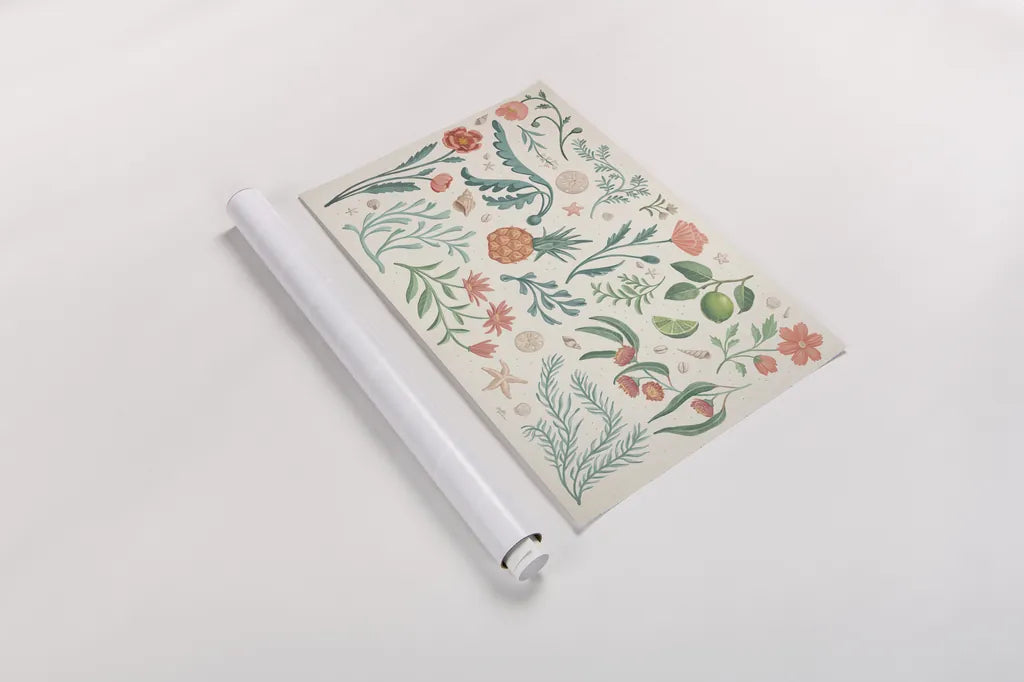 Seaside Botanical I by Janelle Penner. shown as a rolled paper print. Available as archival giclee rolled canvas, fine art paper, or poster print. SKU 57008i.