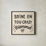 Shine On I Neutral by Janelle Penner. Shown in a sleek black glass frame for a contemporary gallery look. Available as an archival giclee rolled canvas, fine art paper, or poster print. SKU 65328a.