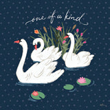 Swan Lake V by Janelle Penner. SKU 39232a. Archival Giclee Fine art print for wall decor.