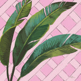 Welcome to Paradise XI on Pink by Janelle Penner. SKU 55311a. Archival Giclee Fine art print for wall decor.