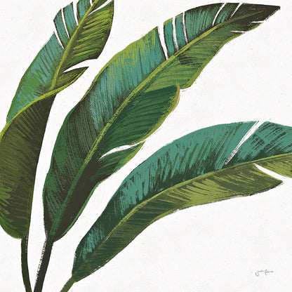 Welcome to Paradise XI on White by Janelle Penner. SKU 31551a. Archival Giclee Fine art print for wall decor.