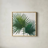Welcome to Paradise XII by Janelle Penner. Shown in a natural wood glass frame for a timeless modern aesthetic. Available as an archival giclee rolled canvas, fine art paper, or poster print. SKU 30415a.