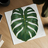 Welcome to Paradise XIII on White by Janelle Penner. Shown as a detailed flat fine art print, highlighting archival giclee quality. Available as an archival giclee rolled canvas, fine art paper, or poster print. SKU 31552a.