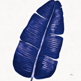 Welcome to Paradise XV Indigo by Janelle Penner. SKU 34081a. Archival Giclee Fine art print for wall decor.