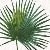 Welcome to Paradise XVI by Janelle Penner. SKU 30419a. Archival Giclee Fine art print for wall decor.
