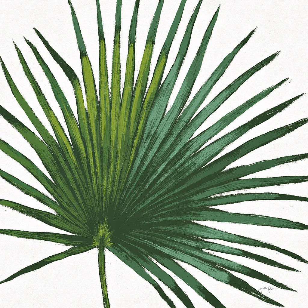 Welcome to Paradise XVI on White by Janelle Penner. SKU 31554a. Archival Giclee Fine art print for wall decor.