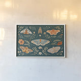 Winged Study I by Janelle Penner. shown as a paper print in a white frame. Available as a archival giclee rolled canvas, fine art paper, or poster print. SKU 62893i.