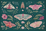 Winged Study I Plum by Janelle Penner. SKU 64059i. Archival Giclee Fine art print for wall decor.