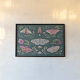Winged Study I Plum by Janelle Penner. shown as a paper print in a black flame. Available as a archival giclee rolled canvas, fine art paper, or poster print. SKU 64059i.