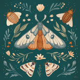 Winged Study II by Janelle Penner. SKU 62894a. Archival Giclee Fine art print for wall decor.