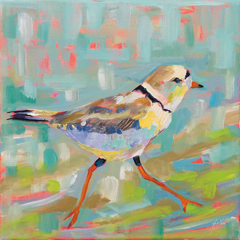 Coastal Plover I by Jeanette Vertentes. SKU 55179a. Archival Giclee Fine art print for wall decor.