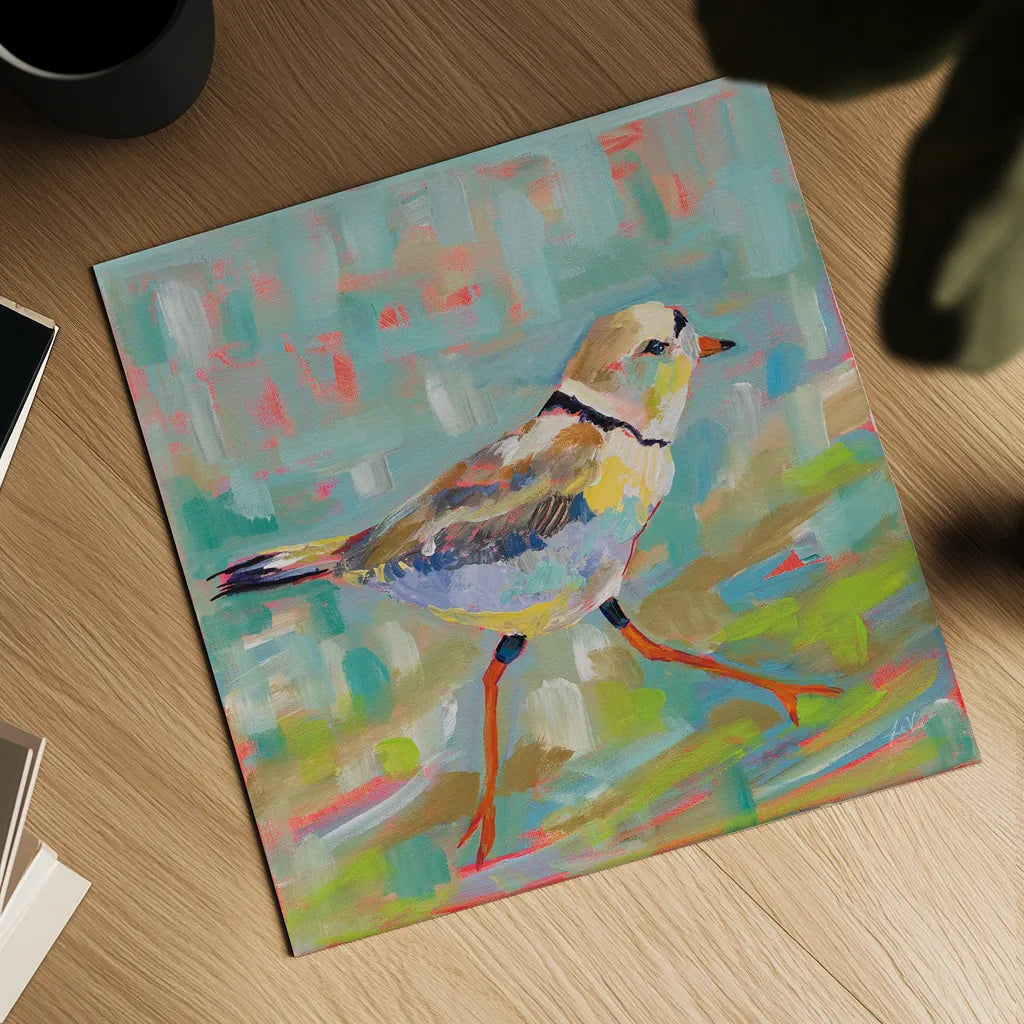 Coastal Plover I by Jeanette Vertentes. Shown as a detailed flat fine art print, highlighting archival giclee quality. Available as an archival giclee rolled canvas, fine art paper, or poster print. SKU 55179a.