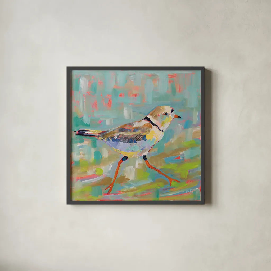 Coastal Plover I by Jeanette Vertentes. Shown in a sleek black glass frame for a contemporary gallery look. Available as an archival giclee rolled canvas, fine art paper, or poster print. SKU 55179a.