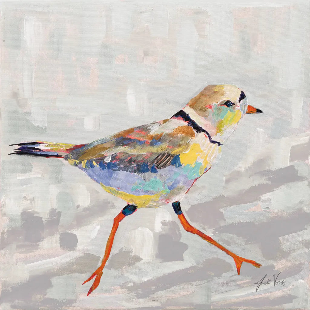 Coastal Plover I Gray by Jeanette Vertentes. SKU 68800a. Archival Giclee Fine art print for wall decor.
