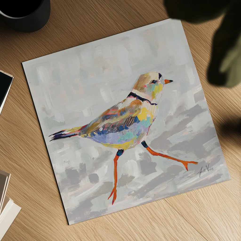 Coastal Plover I Gray by Jeanette Vertentes. Shown as a detailed flat fine art print, highlighting archival giclee quality. Available as an archival giclee rolled canvas, fine art paper, or poster print. SKU 68800a.