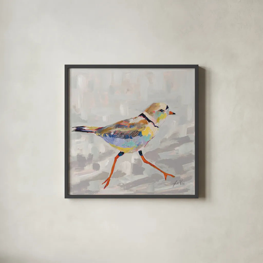 Coastal Plover I Gray by Jeanette Vertentes. Shown in a sleek black glass frame for a contemporary gallery look. Available as an archival giclee rolled canvas, fine art paper, or poster print. SKU 68800a.