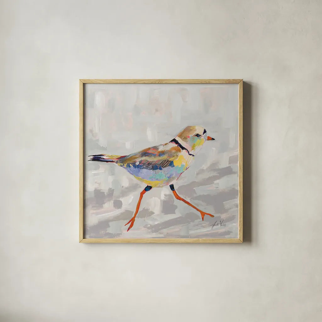 Coastal Plover I Gray by Jeanette Vertentes. Shown in a natural wood glass frame for a timeless modern aesthetic. Available as an archival giclee rolled canvas, fine art paper, or poster print. SKU 68800a.