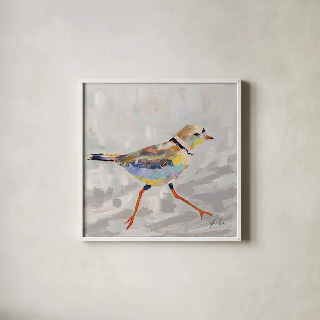 Coastal Plover I Gray by Jeanette Vertentes. Shown in a crisp white glass frame for a clean and minimalist style. Available as an archival giclee rolled canvas, fine art paper, or poster print. SKU 68800a.