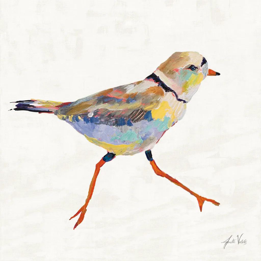 Coastal Plover I Linen by Jeanette Vertentes. SKU 70069a. Archival Giclee Fine art print for wall decor.