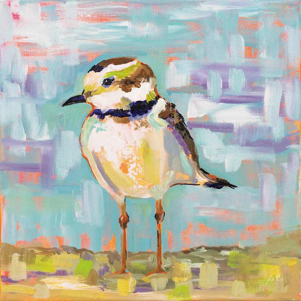 Coastal Plover II by Jeanette Vertentes. SKU 55180a. Archival Giclee Fine art print for wall decor.