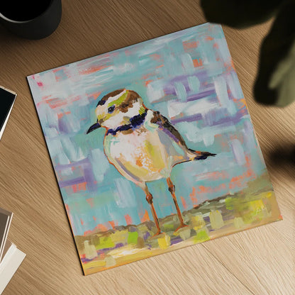 Coastal Plover II by Jeanette Vertentes. Shown as a detailed flat fine art print, highlighting archival giclee quality. Available as an archival giclee rolled canvas, fine art paper, or poster print. SKU 55180a.