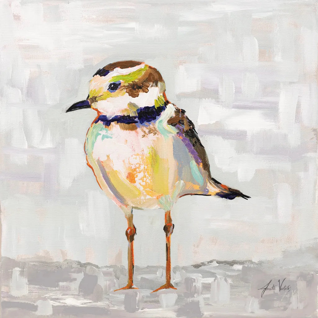 Coastal Plover II Gray by Jeanette Vertentes. SKU 68801a. Archival Giclee Fine art print for wall decor.