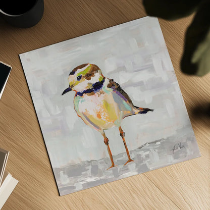Coastal Plover II Gray by Jeanette Vertentes. Shown as a detailed flat fine art print, highlighting archival giclee quality. Available as an archival giclee rolled canvas, fine art paper, or poster print. SKU 68801a.