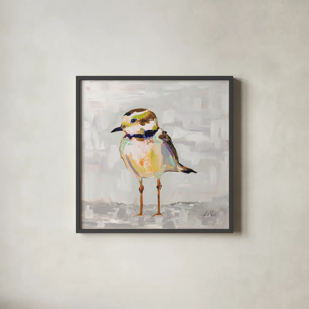 Coastal Plover II Gray by Jeanette Vertentes. Shown in a sleek black glass frame for a contemporary gallery look. Available as an archival giclee rolled canvas, fine art paper, or poster print. SKU 68801a.