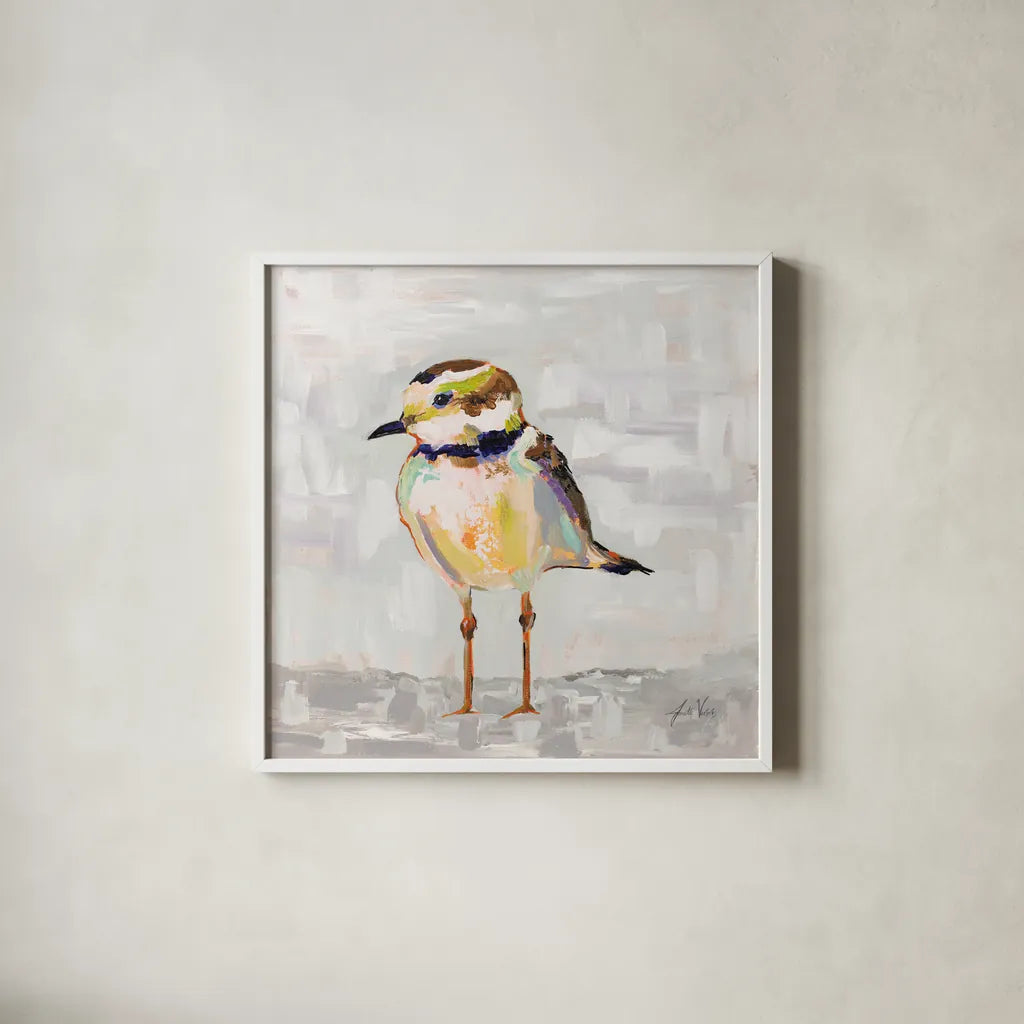 Coastal Plover II Gray by Jeanette Vertentes. Shown in a crisp white glass frame for a clean and minimalist style. Available as an archival giclee rolled canvas, fine art paper, or poster print. SKU 68801a.