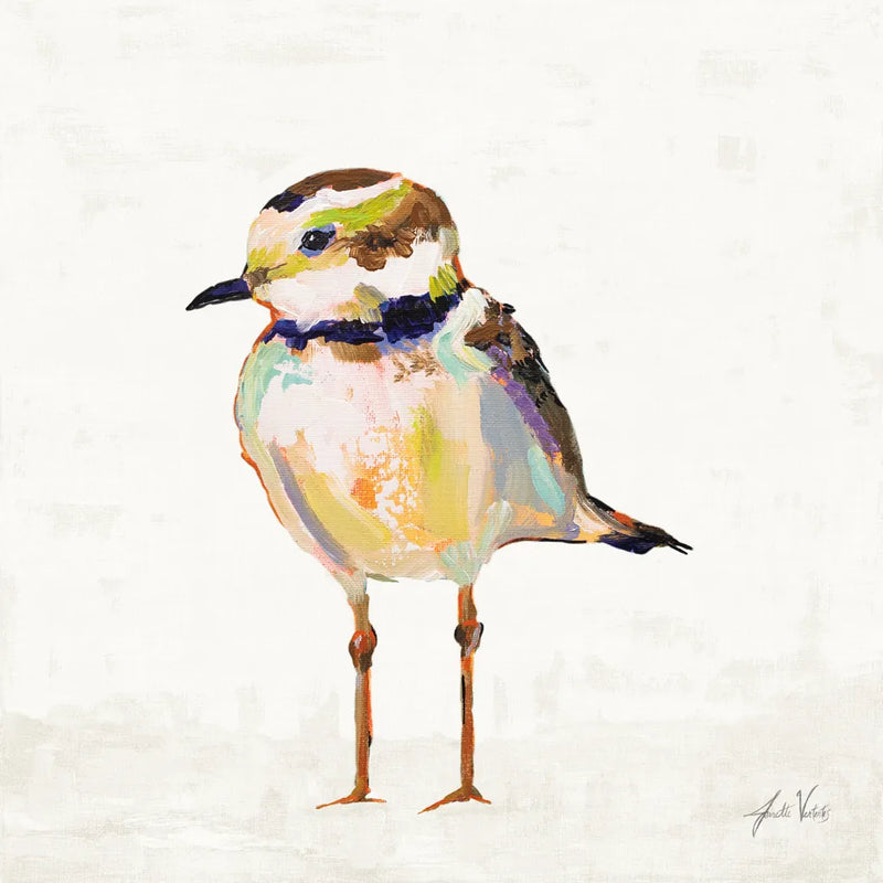 Coastal Plover II Linen by Jeanette Vertentes. SKU 70070a. Archival Giclee Fine art print for wall decor.