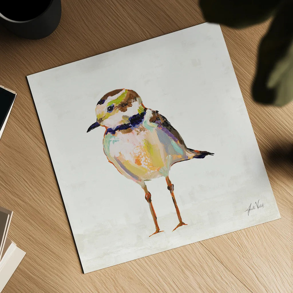 Coastal Plover II Linen by Jeanette Vertentes. Shown as a detailed flat fine art print, highlighting archival giclee quality. Available as an archival giclee rolled canvas, fine art paper, or poster print. SKU 70070a.