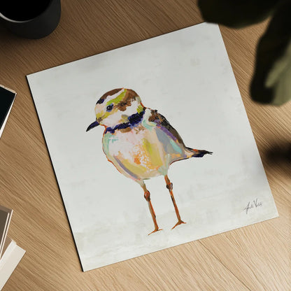 Coastal Plover II Linen by Jeanette Vertentes. Shown as a detailed flat fine art print, highlighting archival giclee quality. Available as an archival giclee rolled canvas, fine art paper, or poster print. SKU 70070a.
