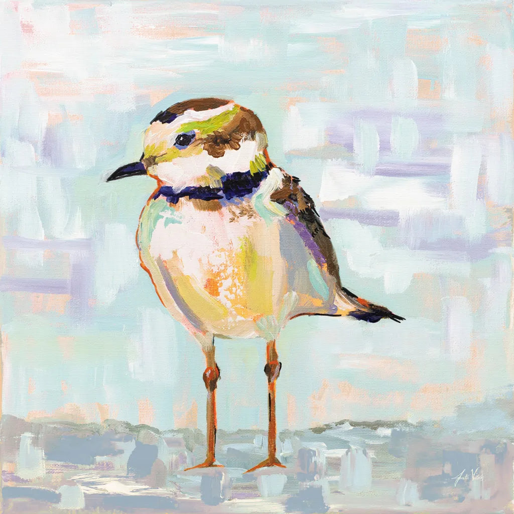 Coastal Plover II Neutral by Jeanette Vertentes. SKU 56825a. Archival Giclee Fine art print for wall decor.