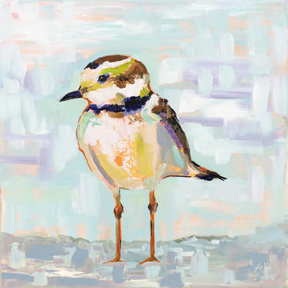 Coastal Plover II Neutral by Jeanette Vertentes. SKU 56825a. Archival Giclee Fine art print for wall decor.