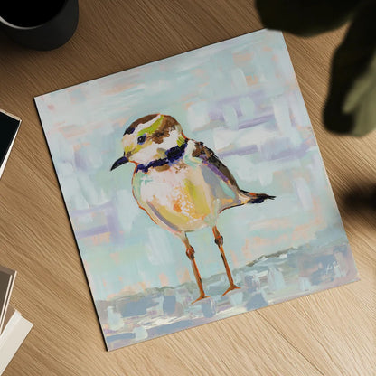 Coastal Plover II Neutral by Jeanette Vertentes. Shown as a detailed flat fine art print, highlighting archival giclee quality. Available as an archival giclee rolled canvas, fine art paper, or poster print. SKU 56825a.