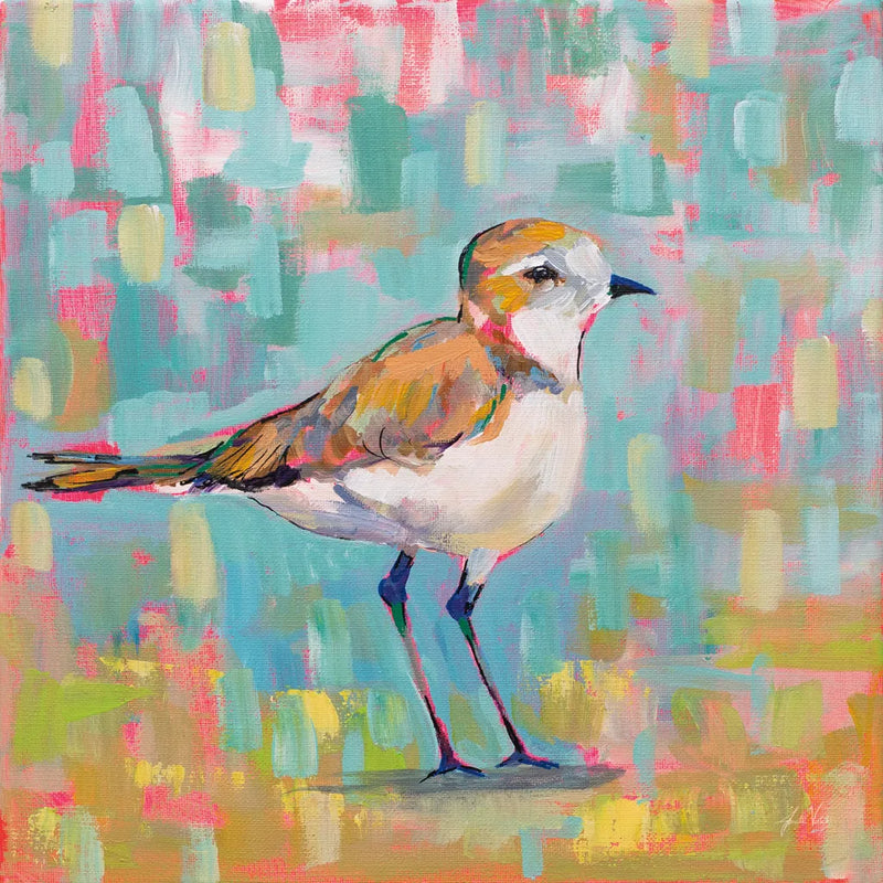 Coastal Plover III by Jeanette Vertentes. SKU 55181a. Archival Giclee Fine art print for wall decor.
